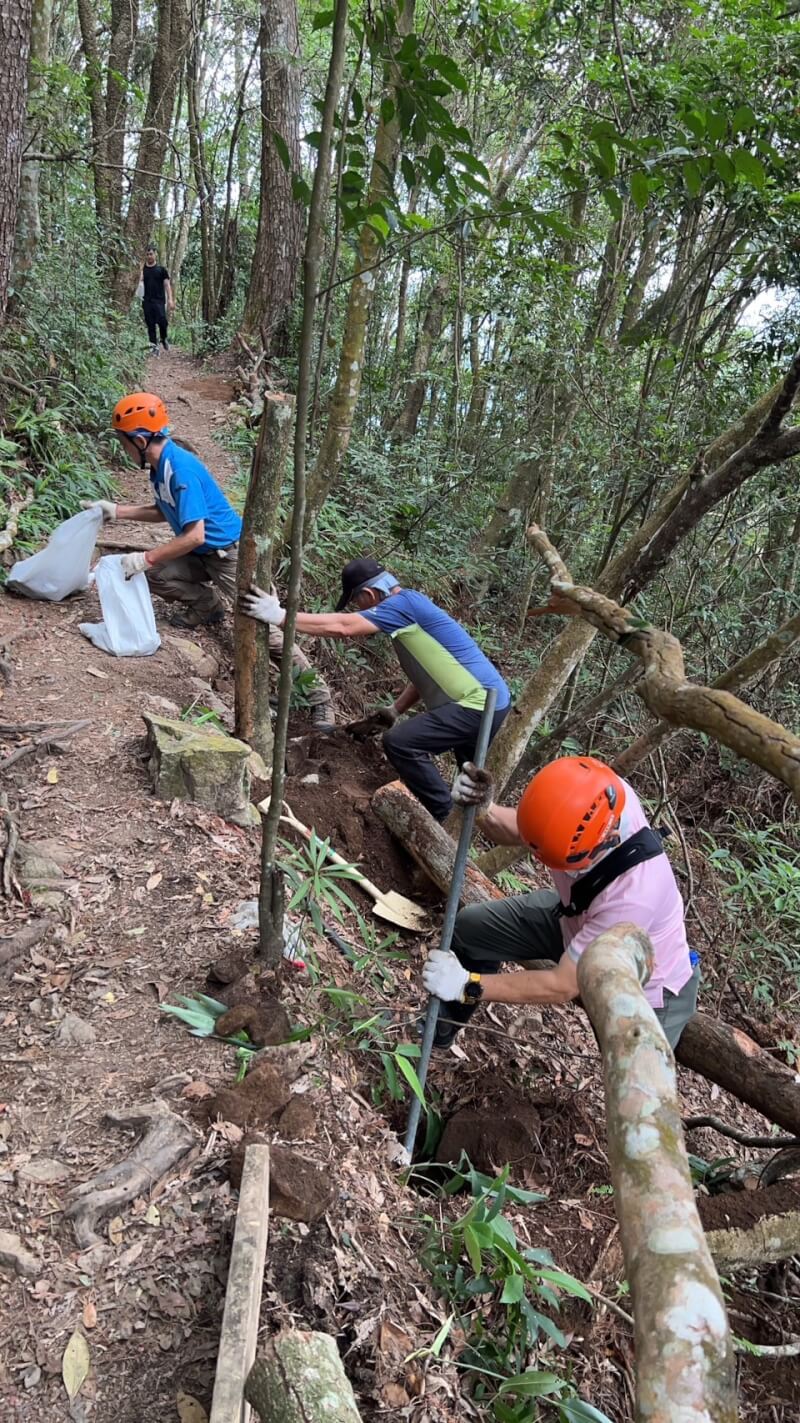 (圖取自林務局東勢林區管理處網頁 dongshih.forest.gov.tw)