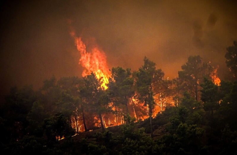 希臘旅遊勝地羅得斯島野火肆虐。（路透社）