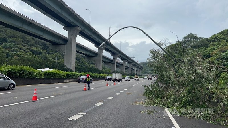 國道1號北向38公里處外側樹木及路燈26日上午突然傾倒，影響行車安全，一度讓車流回堵7公里。（翻攝照片）中央社記者王鴻國傳真  112年7月26日