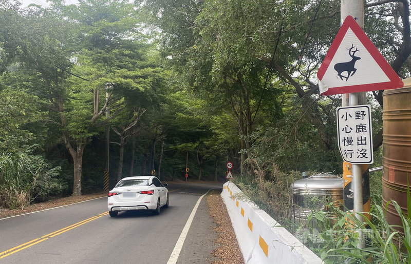 有民眾駕駛自小客車行經台74甲線撞死水鹿，彰化縣政府在台74甲線、彰139線等地設告示牌，提醒民眾有水鹿出沒。中央社記者吳哲豪彰化攝  112年7月27日