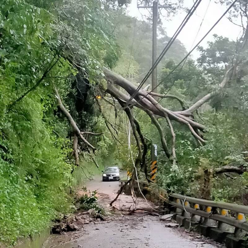 受颱風杜蘇芮豪雨影響致大樹倒斷，造成高雄市桃源區復興里、 拉芙蘭里、梅山里一帶停電。（台電提供）