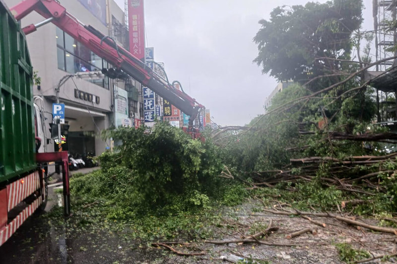 受颱風杜蘇芮影響，台南多處地區在28日清晨出現路樹傾倒情況，市府工務局派員清理。（台南市工務局提供）中央社記者楊思瑞台南傳真  112年7月28日