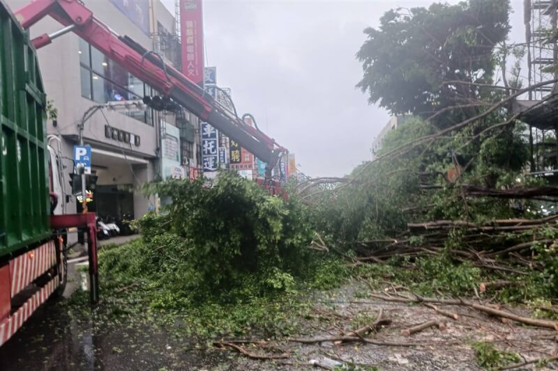 受颱風杜蘇芮影響,台南多處地區在28日清晨出現路樹傾倒情況,市府工務局派員清理。(台南市工務局提供)中央社記者楊思瑞台南傳真 112年7月28日