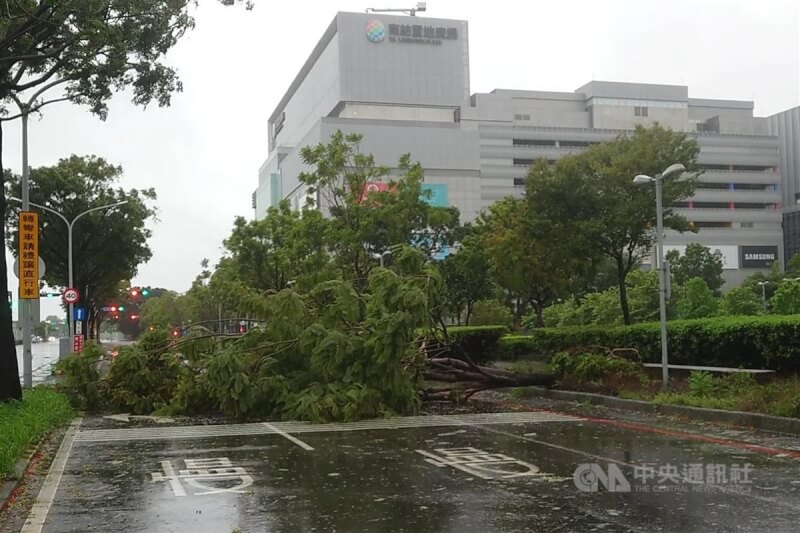 受颱風杜蘇芮影響,台南多處地區28日清晨有路樹傾倒,影響道路通行。中央社記者楊思瑞攝 112年7月28日