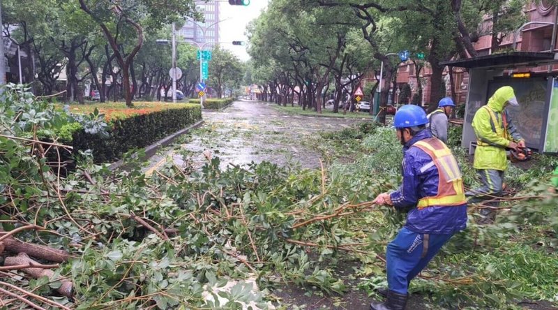 颱風杜蘇芮風勢強勁，高雄市政府統計，截至28日中午，共接獲全市路樹傾倒案件約800件。市府工務局派員持續清理，盼迅速恢復市容。（高雄市工務局提供）中央社記者蔡孟妤傳真  112年7月28日