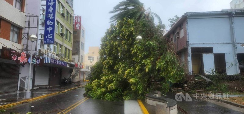 颱風杜蘇芮侵襲澎湖，風雨不斷，多處傳出災情，其中以路樹倒塌27件最多。中央社  112年7月28日