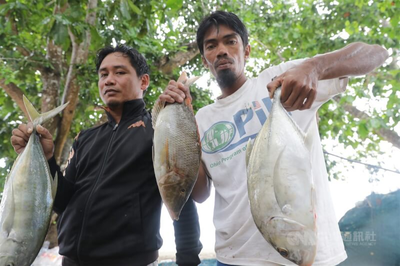 台商葉宗欣多年來前進東馬沙巴東岸漁村收購漁獲，與天生是捕魚好手的蘇祿族與巴瑤族漁夫搏感情，透過以物易物方式收購新鮮漁獲，滿足這群無國籍人士的生活需求。中央社記者黃自強沙巴攝 112年7月31日