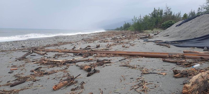 颱風杜蘇芮帶來驚人雨量，使台東海岸線遍布漂流木，林業署台東分署1日宣布，2日至中央氣象局發布下次陸上颱風警報或豪雨特報（台東縣列入警戒區域）前，民眾可徒手自由撿拾，但不得使用機具裁切。（林業署台東分署提供）中央社記者李先鳳傳真 112年8月1日