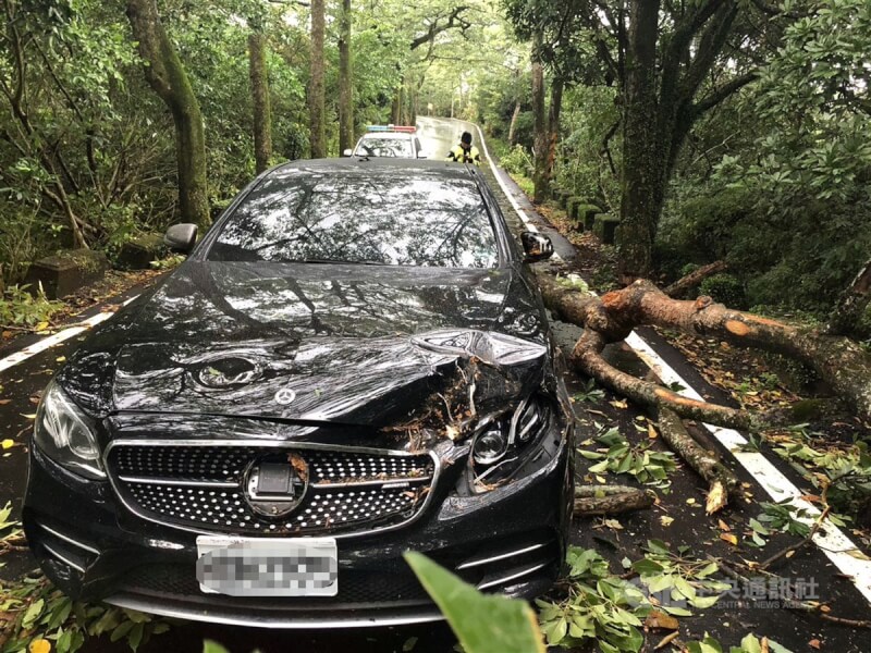 颱風卡努逼近北台灣，新北市三芝區橫山里北18線3日上午6時許有路樹傾倒，壓到一旁車輛。（翻攝照片）中央社記者高華謙傳真 112年8月3日