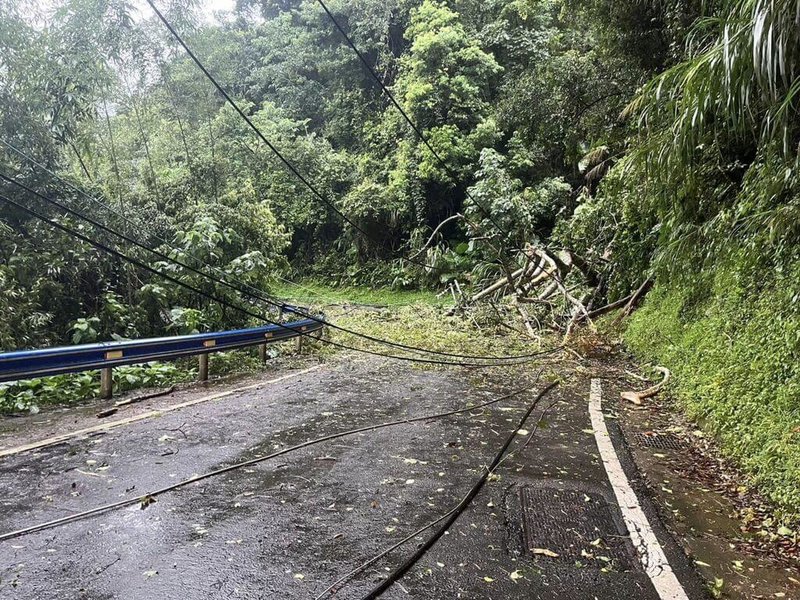 新竹五峰山區樹木倒塌道路中斷逾200戶停電| 地方| 中央社CNA