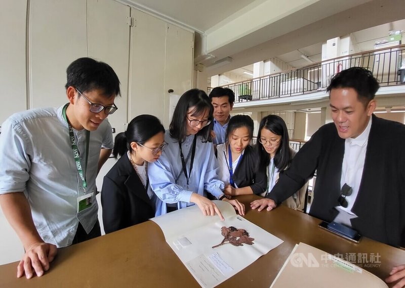 英國名列聯合國世界遺產的植物園「邱園」今年首見台灣實習生：台灣大學碩士與學士生林妮臻（左2）、方薇涵（左3）、柳沐真（右2）、洪靖媛（右3）3日與訪英視察的台大國際事務處全球關係總監吳霽儒（右1）在標本庫檢視來自台灣的疏脈赤楠標本。中央社記者陳韻聿倫敦攝 112年8月5日