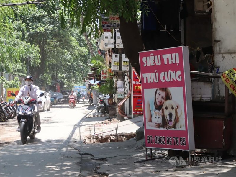 越南吃狗肉的食俗由來已久，然而「把貓狗視為家人」的觀念在民間日漸普及，帶動「毛小孩商機」湧現，圖為河內市一家寵物用品店。中央社記者陳家倫河內攝  112年8月6日