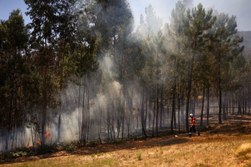 超過1000名消防員6日投入葡萄牙中部一場野火的滅火工作，這場大火已經燒毀7000公頃的土地，並造成11人輕傷。（路透社）
