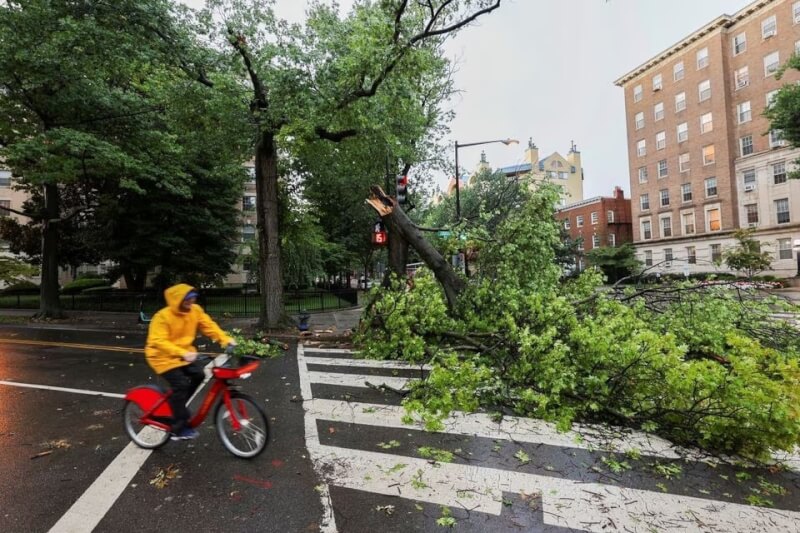 圖為去年8月7日，華盛頓特區一名民眾騎經一棵倒塌路樹。（路透社）