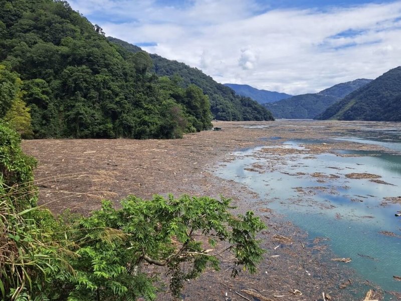 南投縣仁愛鄉暴雨釀山地邊坡坍方、溪水暴漲，連帶下游霧社水庫也出現大量漂流木。（民眾提供）中央社記者蕭博陽南投縣傳真 112年8月11日