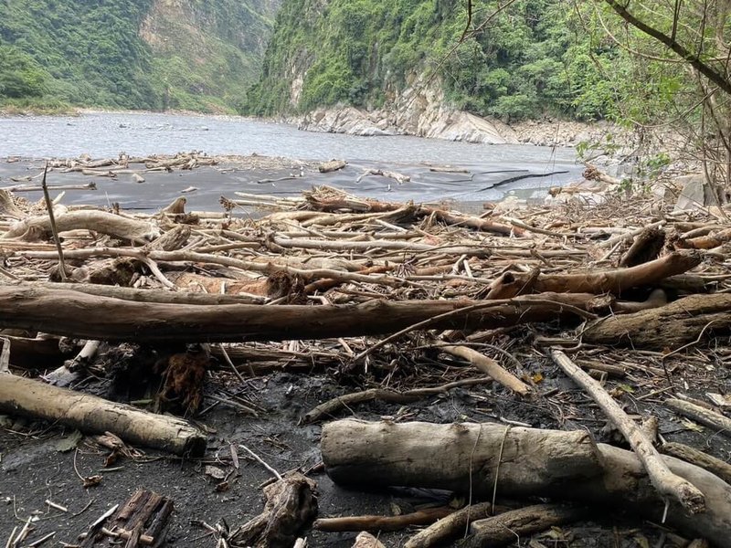 南投縣仁愛鄉暴雨釀山地邊坡坍方、溪水暴漲，連帶下游霧社水庫、濁水溪部分河段出現大量漂流木堆積（圖），農業部林業及自然保育署南投分署11日表示，目前漂流木打撈清理仍在進行，尚未開放撿拾。（林業署南投分署提供）中央社記者蕭博陽南投縣傳真  112年8月11日