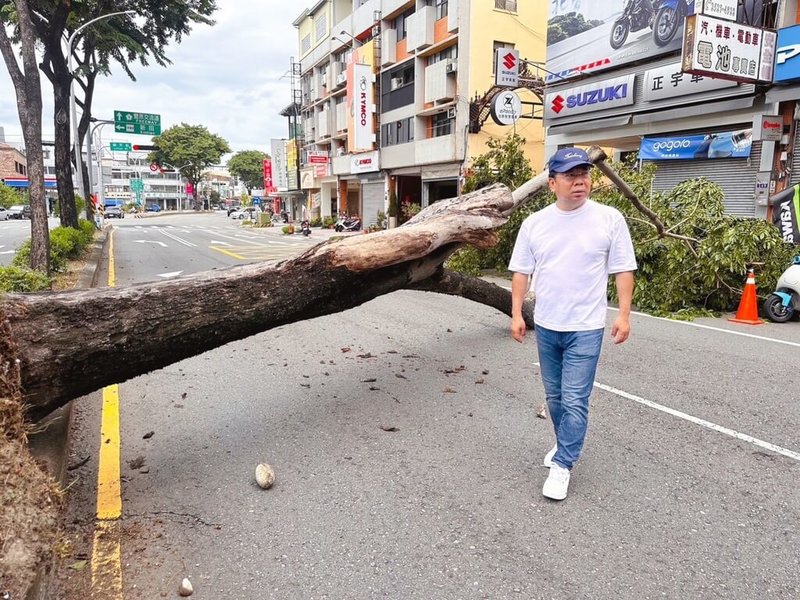 台中市豐原區圓環東路13日有路樹倒塌，阻礙通行，民進黨台中市議員謝志忠得知後到場查看，並通知市府相關局處排除障礙。（謝志忠服務處提供）中央社記者郝雪卿傳真  112年8月13日