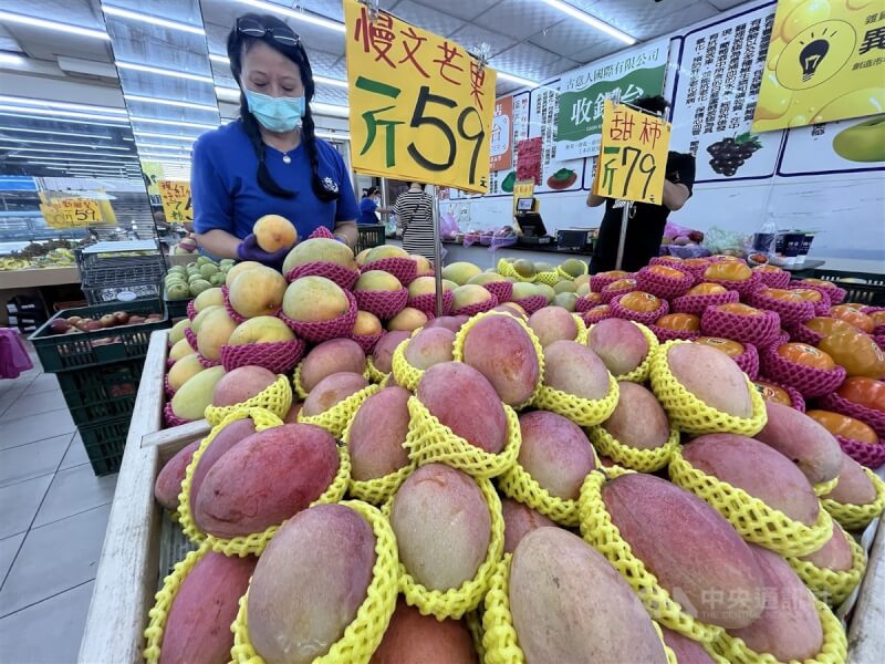 中國21日起暫停台灣芒果輸入。圖為台北市北投區一家水果店員工整理芒果。中央社記者徐肇昌攝 112年8月21日