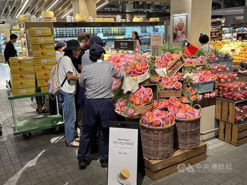 台灣農委會今年6月首次補助台灣芒果在韓國連鎖通路現代百貨進行促銷活動。中央社記者廖禹揚首爾攝  112年8月24日