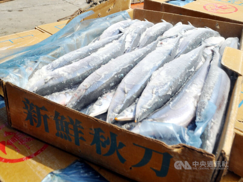 日本核處理水排放入海。漁業署表示，已驗漁獲4500多件都安全，今年會驗逾目標3000件，秋刀魚也已加強檢驗；上市前是否逐批驗，將再做評估。（中央社檔案照片）