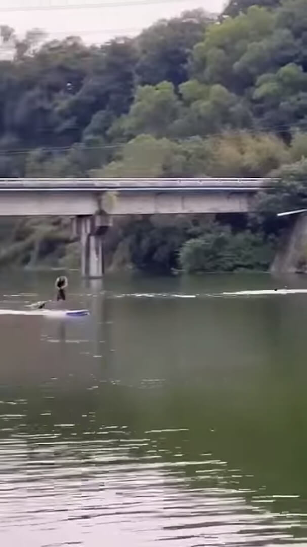 新竹縣峨眉湖發生溺水事件,網路流傳事發影片顯示,同行友人救援不及。(圖取自facebook.com/new.reporter)