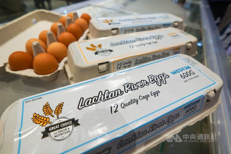 農業部27日表示，雞蛋進口為自由市場，無限定或補貼特別對象。（中央社檔案照片）