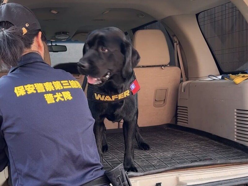 台灣第一隻電子產品偵測犬Wafer(圖)與警政署保三總隊的領犬員在美國訓練,模擬車上搜尋證物。(駐洛杉磯辦事處/警政署提供)中央社記者林宏翰傳真 112年8月31日