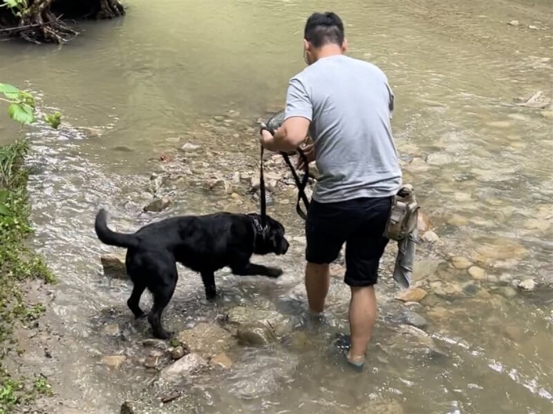 台灣第一隻電子產品偵測犬Wafer(圖)與警政署保三總隊的領犬員在美國訓練,藏在水底下的電子產品都能聞得到。(駐洛杉磯辦事處/警政署提供)中央社記者林宏翰傳真 112年8月31日