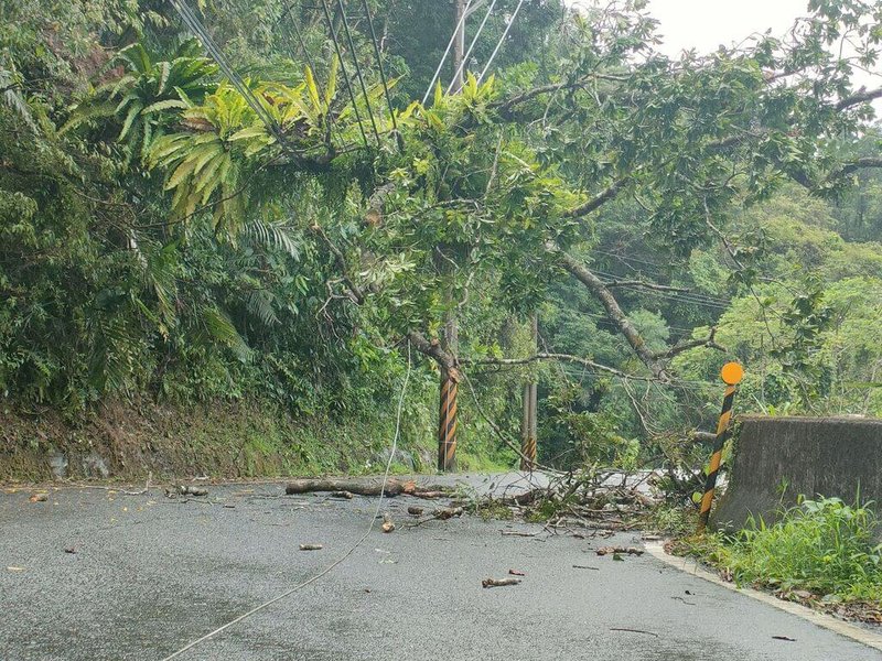 宜蘭縣政府工商旅遊處3日表示,清水地熱聯外道路97號電桿上方邊坡路樹上午7時許倒塌,壓到台電電線,造成清水地熱遊憩區跳電,已通知縣府農業處及台電派員搶修。(宜蘭縣政府工商旅遊處提供)中央社記者王朝鈺傳真 112年9月3日