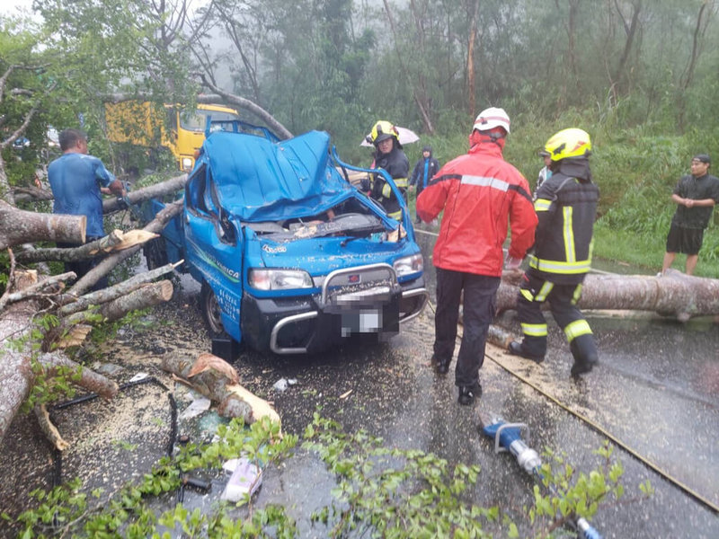 颱風海葵來襲，卓溪鄉省道台30線一輛小貨車3日上午遭傾倒路樹砸中，車輛扭曲變形，車上2人受困，警消獲報立即到場救援，與民眾協力將路樹抬起，將車內2人救出。（花蓮縣警察局提供）中央社記者李先鳳傳真 112年9月3日