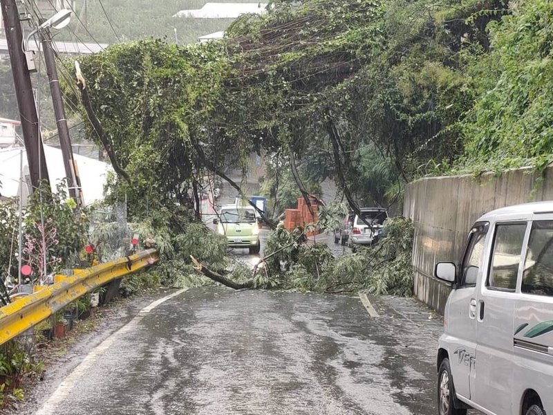 颱風海葵帶來強陣風，台中市警察局和平分局梨山分駐所3日下午獲報，和平區中興路4段（台7甲線）68.7K處有路樹傾倒、阻礙通行，且壓到高壓電線，除立即通知谷關工務段及台電工程人員搶修，也在現場進行交管。（民眾提供）中央社記者郝雪卿傳真  112年9月3日