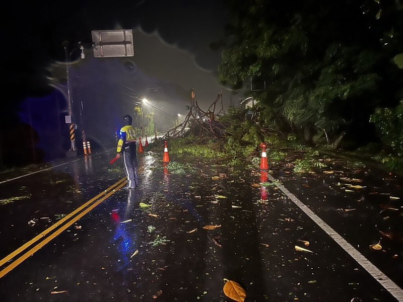 屏東縣3日晚間明顯感受到颱風海葵挾帶的強風豪雨，多處鄉鎮都發生路樹傾倒狀況，警方獲報也派員到樹倒現場執行交通管制。（警方提供）中央社記者李卉婷傳真  112年9月3日
