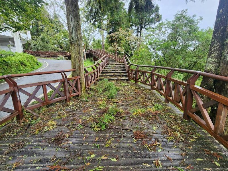 受颱風海葵影響，阿里山國家森林遊樂區持續休園，4日園區內處處可見林木枝葉遭風雨打落情形。（林業署嘉義分署提供）中央社記者蔡智明傳真  112年9月4日