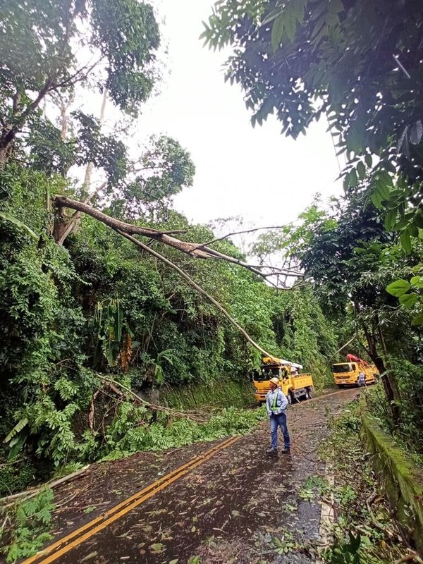 颱風海葵造成嘉義地區逾3900戶停電，台電嘉義區營業處持續動員搶修，截至4日中午，梅山鄉、阿里山鄉共有234戶尚未復電，預計下午可全數復電。（台電嘉義區處提供）中央社記者黃國芳傳真  112年9月4日