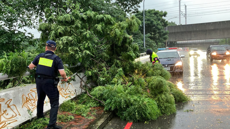 台中市5日下午雨勢不斷，南屯區永春路往市區橋上路樹倒塌在機車道上，警方帶著鋸子到場，冒雨鋸斷傾倒路樹，並將樹枝清除，恢復交通順暢，所幸沒有人員及車輛遭波及。（民眾提供）中央社記者郝雪卿傳真  112年9月5日