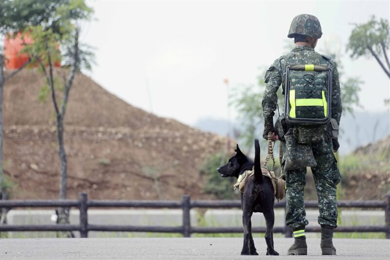 曾面臨安樂死的犬隻Hola 2019年曾踏上征途陪伴官兵闊步行軍500公里。（軍聞社提供）
