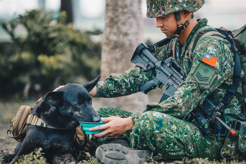 軍犬Hola跟隨特戰單位歷經多次任務,已是資深同仁,跟單位的官兵也相處融洽。(軍聞社提供)中央社記者游凱翔傳真 108年3月17日