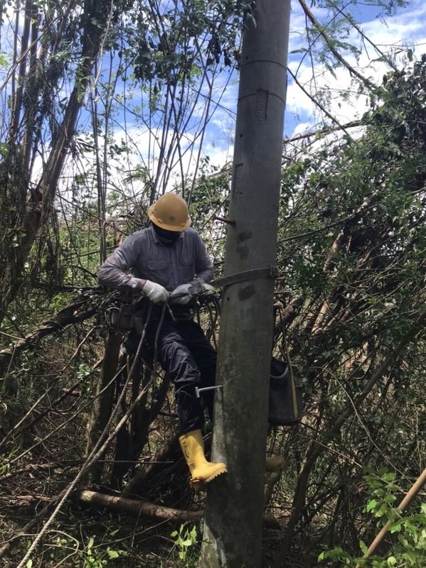 颱風海葵造成台東地區8萬9237戶停電，台電動員16個區處、超過450名工程人員日以繼夜搶修，8日下午宣布台東全面復電。（台電提供）中央社記者盧太城台東傳真 112年9月8日