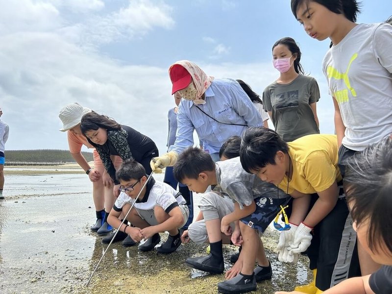 澎湖在地青年組成團隊，規劃「澎湖婦女」為主體的文化教育體驗課程，邀請澎湖阿嬤帶學子到潮間帶採集殼仔。（青年署提供）中央社記者許秩維傳真  112年9月10日