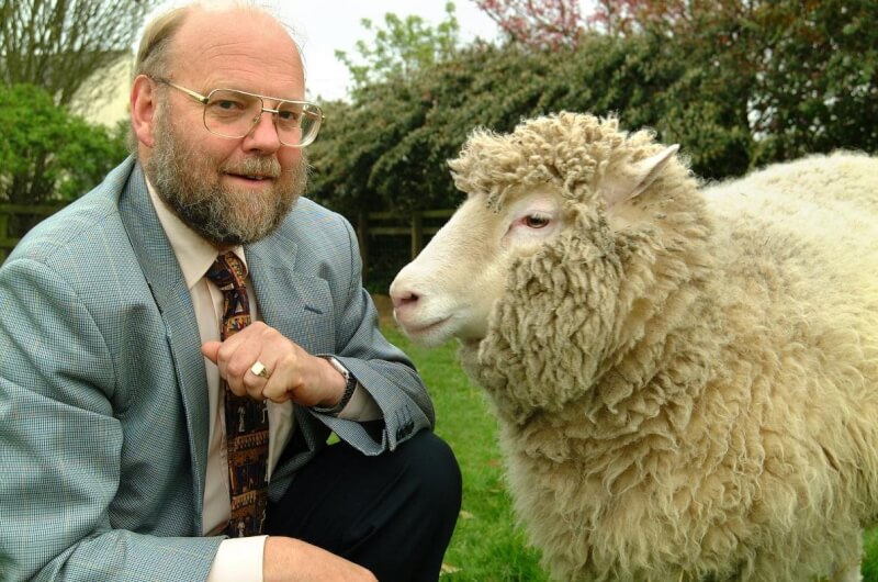 英國蘇格蘭愛丁堡大學11日指出，領導複製桃莉羊研究小組的英國科學家韋莫特已去世，享壽79歲。（圖取自twitter.com/EdinburghUni）