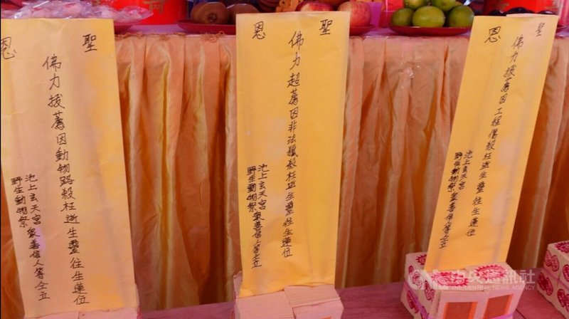 台東197縣道及東9線6年來記錄到806筆動物在路上意外死亡,附近池上鄉富興村玄天宮與動保團體13日舉辦動物普度,希望喚起大家尊重野生動物的生命。中央社記者盧太城台東攝 112年9月13日
