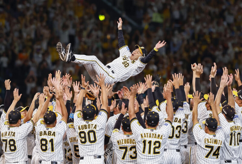 日本職棒中央聯盟的阪神虎隊14日以4比3擊退巨人隊，自2005年之後睽違18年再度奪下央聯優勝，球員們將教練拋起來慶祝。（共同社）