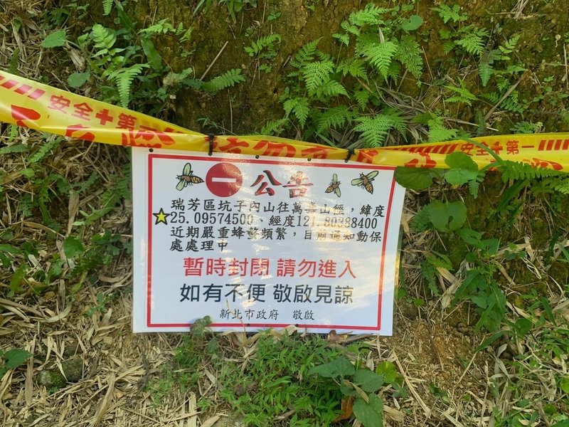 新北市瑞芳區公所21日表示，鑑於山區有虎頭蜂攻擊登山客，坑子內山區往萬壽山山徑，預計整個秋季都將封閉，並會多次巡邏山區路徑，確認安全無虞才會重新開放。（瑞芳區公所提供）中央社記者黃旭昇新北傳真 112年9月21日