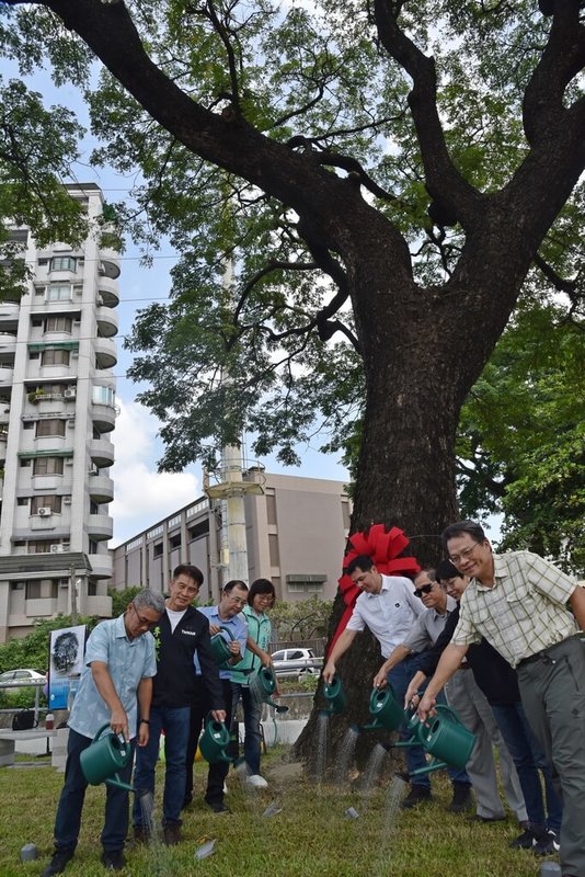 屏東大學民生校區北側門殺蛇溪畔的百歲雨豆樹，隨樹木成長、路幅漸縮，人車衝突致樹幹傷痕累累，校方為此拆除圍牆、無償提供校地，官學合力拓寬路幅，屏大、縣府與社區居民21日齊聚一堂慶祝雨豆樹重生。右為屏東大學校長陳永森。（屏東大學提供）中央社記者洪學廣傳真  112年9月21日