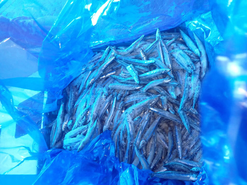 食藥署26日公布邊境查驗不合格名單，一批從日本進口的丁香魚被檢出重金屬鎘超標，共1萬8450公斤退運或銷毀。（食藥署提供）中央社記者沈佩瑤傳真  112年9月26日