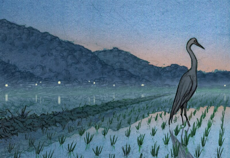 柯睿祺的圖像小說「Lost in Taiwan」描繪台灣農田靜謐。(柯睿祺提供) 中央社記者鄧佩儒傳真 112年10月3日