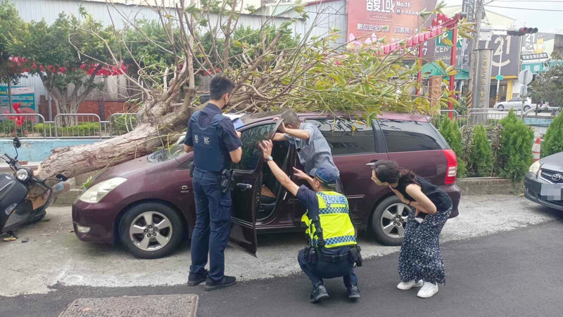 颱風小犬逼近，台中市4日上午風勢漸強，大雅區民生路1段巷弄內一棵路樹被風吹斷，壓到停在旁邊的休旅車及機車。（民眾提供）中央社記者趙麗妍傳真  112年10月4日