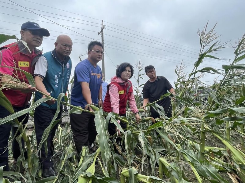 颱風小犬侵襲台灣,雲林縣長張麗善(右2)5日在農業處長魏勝德(左)等人陪同下赴元長鄉勘災,了解農作物受災情形。中央社記者姜宜菁攝 112年10月5日