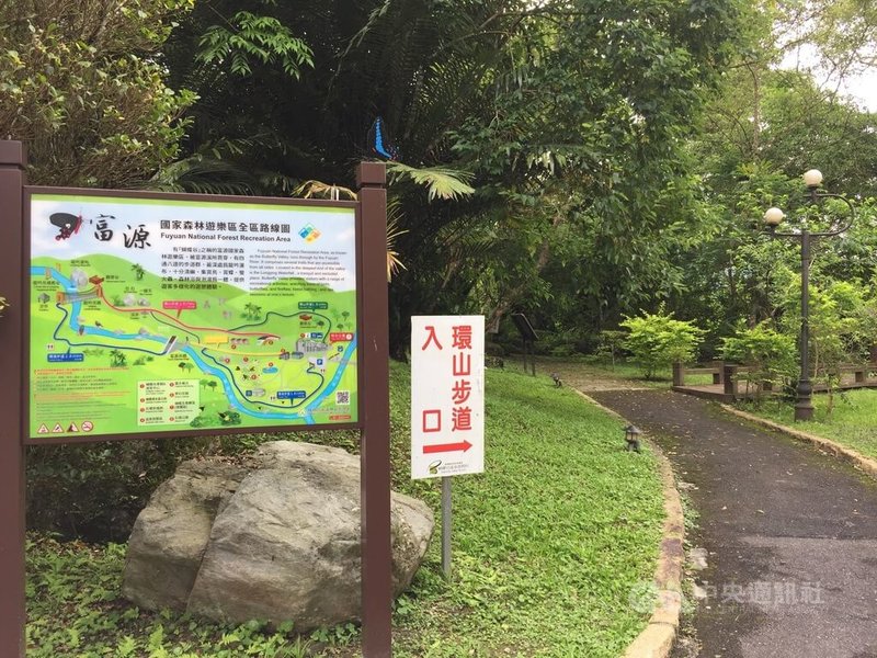颱風小犬逐漸遠離台灣，林業及自然保育署花蓮分署轄內的池南、富源國家森林遊樂區（不含園區內步道群）預計6日中午12時重新開園。中央社記者李先鳳攝  112年10月5日