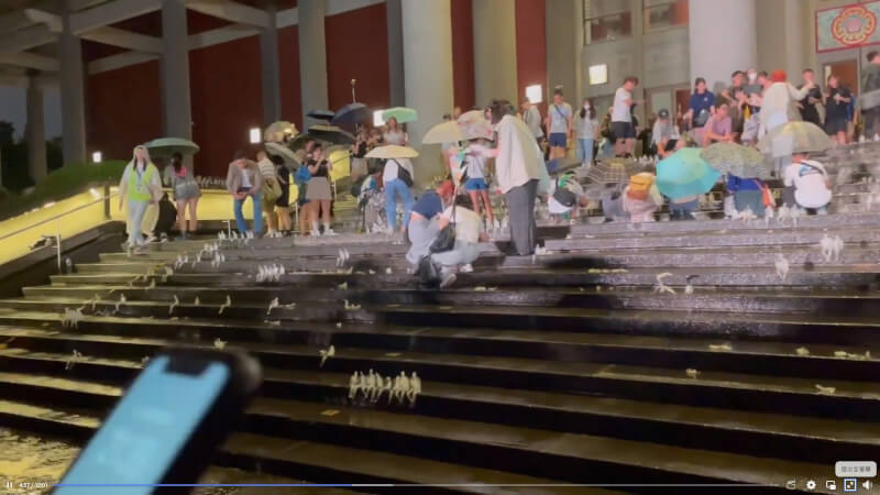 圖為國父紀念館「小冰人藝術行動」，白晝之夜直播畫面可見台北市當晚下大雨，民眾撐傘參與。（圖取自facebook.com/NuitBlancheTPE）